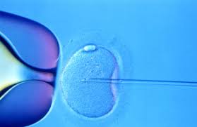Tp Bebek (IVF) ve Mikroenjeksiyon (ICSI)   