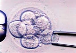 PGT (Preimplantasyon Genetik Tan)
